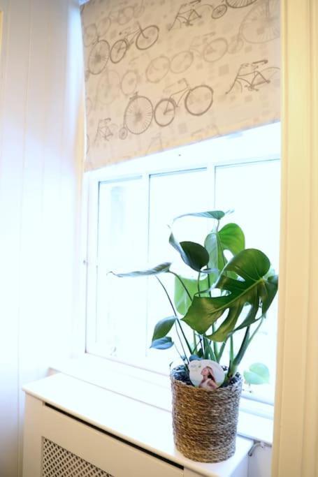Stylish 1 Bed Flat On Royal Mile Oldtown#